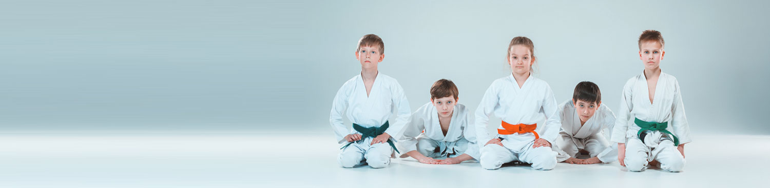 Surrey Kids Mixed Martial Arts (karate Tae Kwon Do Jiu-Jitsu)